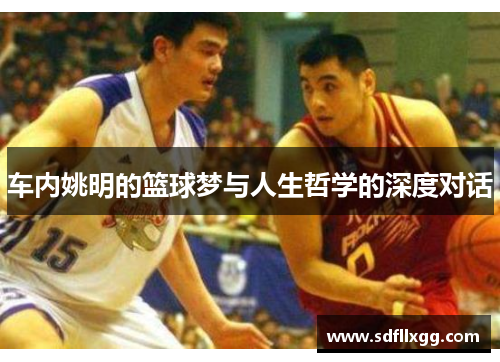 车内姚明的篮球梦与人生哲学的深度对话
