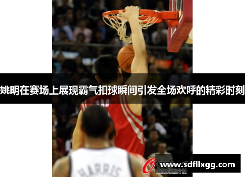 姚明在赛场上展现霸气扣球瞬间引发全场欢呼的精彩时刻