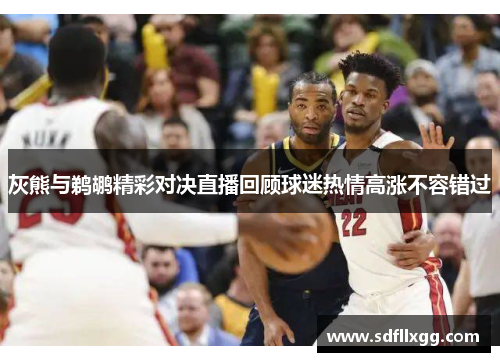 灰熊与鹈鹕精彩对决直播回顾球迷热情高涨不容错过